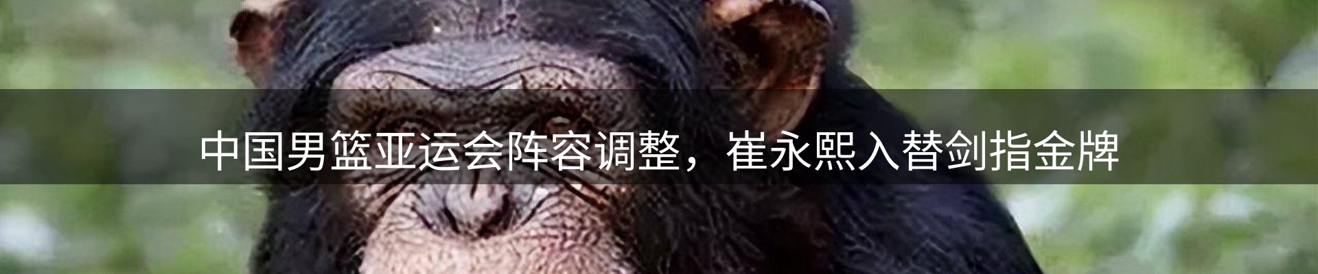 新闻评述